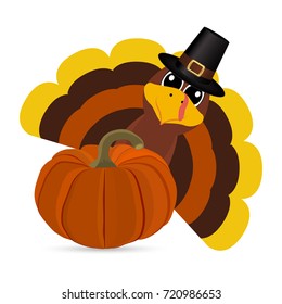 Turkey Pilgrimin on Thanksgiving Day
