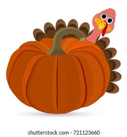 Turkey Pilgrimin on Thanksgiving Day
