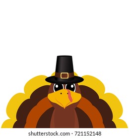 Turkey Pilgrimin on Thanksgiving Day
