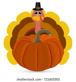 Turkey Pilgrimin on Thanksgiving Day