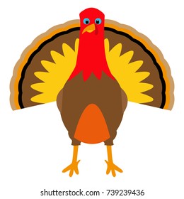 Turkey Pilgrimin on Thanksgiving Day