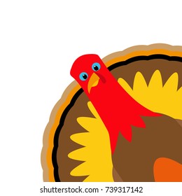 Turkey Pilgrimin on Thanksgiving Day