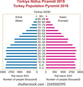 Turkey Population Pyramid 2018, education illustrator