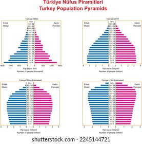 Turkey Population Pyramid, Turkey estimated population