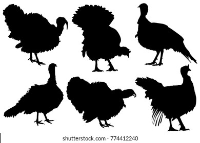 turkey poultry silhouette set