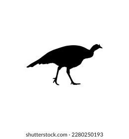 Turkey Silhouette for Art Illustration, Pictogram or Graphic Design Element. The Turkey is a large bird in the genus Meleagris. Vector Illustration
