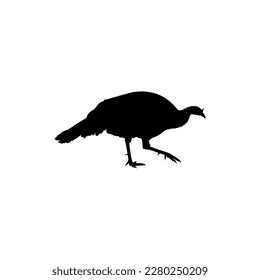 Turkey Silhouette for Art Illustration, Pictogram or Graphic Design Element. The Turkey is a large bird in the genus Meleagris. Vector Illustration