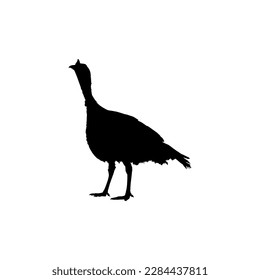 Turkey Silhouette for Art Illustration, Pictogram or Graphic Design Element. The Turkey is a large bird in the genus Meleagris. Vector Illustration
