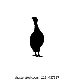 Turkey Silhouette for Art Illustration, Pictogram or Graphic Design Element. The Turkey is a large bird in the genus Meleagris. Vector Illustration