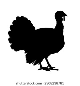 Turkey silhouette isolated on white background. vector illustration