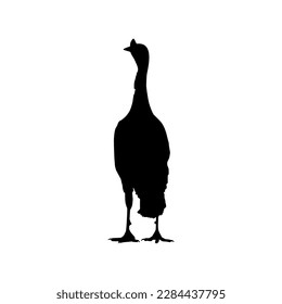 Turkey Silhouette for Logo Type, Art Illustration, Pictogram or Graphic Design Element. The Turkey is a large bird in the genus Meleagris. Vector Illustration