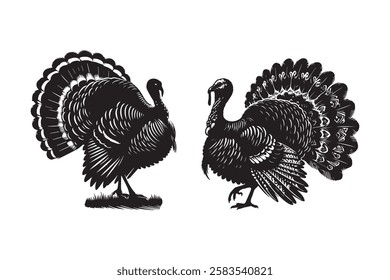 Turkey Silhouette royalty-free images in white background
