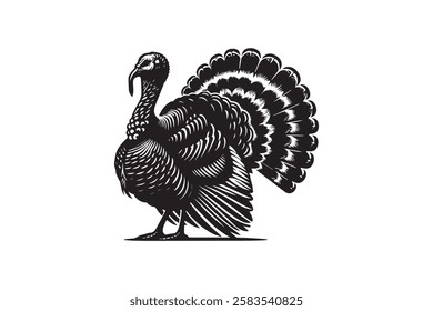 Turkey Silhouette royalty-free images in white background
