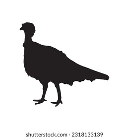 turkey silhouette set collection isolated black on white background vector illustration