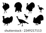 Turkey silhouette set on white background, collection of farm animals and turkey breeds. Vector illustration. Isolated turkey