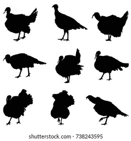 Turkey silhouette, vector illustration