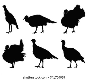 Turkey silhouette, vector illustration