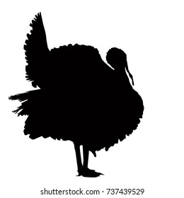 Turkey Silhouette, Vetor Illustration