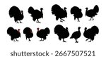 Turkey Silhouettes Set of 3 Wild Bird Vector Design Isolated on White Background