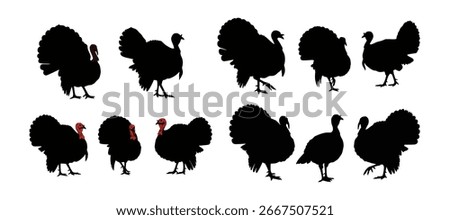 Turkey Silhouettes Set of 3 Wild Bird Vector Design Isolated on White Background