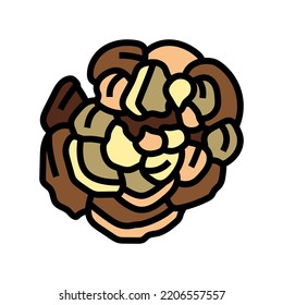 turkey tail mushroom color icon vector. turkey tail mushroom sign. isolated symbol illustration