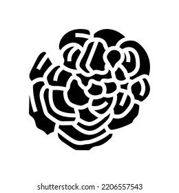turkey tail mushroom glyph icon vector. turkey tail mushroom sign. isolated symbol illustration