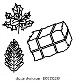 Turkey for Thanksgiving day. Traditional symbols of autumn holiday.