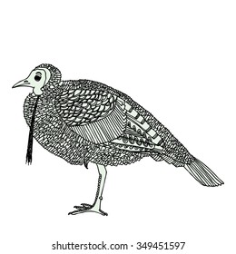 Turkey Tom original drawing vectorized