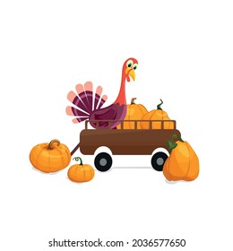 The turkey is in the trailer with the pumpkins. Cartoon vector illustration.