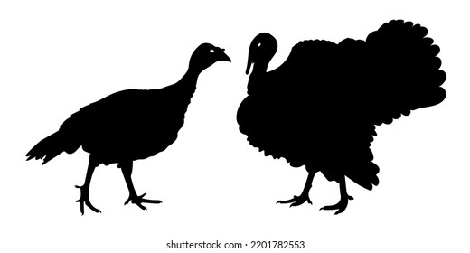 pavo, pavo, pavo, pavo, gobbler, tomate turkey de pie, paquete diferente de siluetas de aves, vector aislado