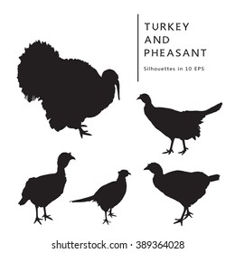 Turkey, Turkeycock, And Pheasant. 
Black And White Isolated Silhouettes.