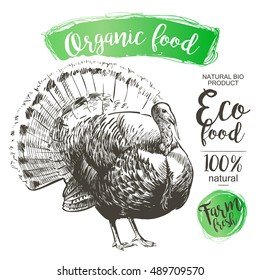Turkey - Vector engraved illustration in vintage style
