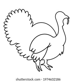 Turkey vector icon. Isolated illustration on a white background. Turkey outline, sketch, stroke. Hand-drawn black doodle. Farm bird, monochrome