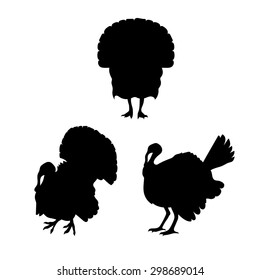 Turkey vector icons and silhouettes. Set of illustrations in different poses.