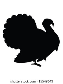 turkey vector illustration