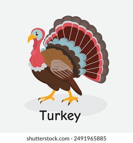 Turkey Vector Illustration: Farmyard Bird Animal