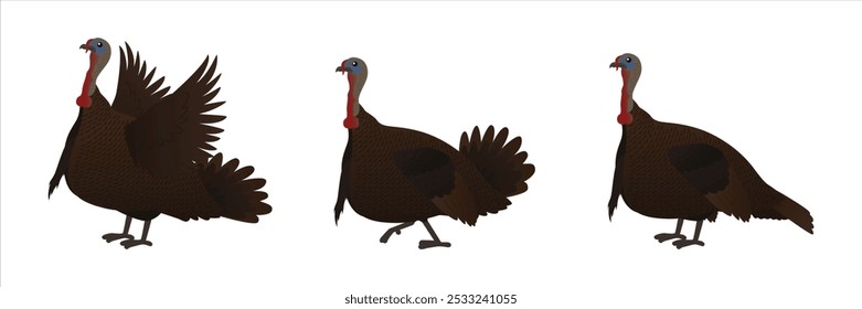 turkey vector illustration side view