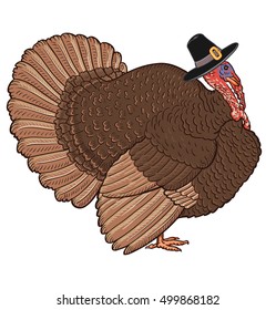Turkey. Vector Illustration of a Thanksgiving Celebration Design with image cartoon Turkey in Hat isolated on white background.