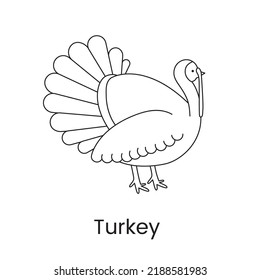 Turkey is a vector lined bird icon.