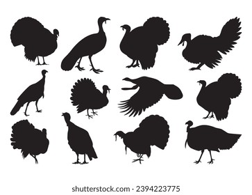 Turkey Vector For Print, Turkey Clipart, Turkey vector Illustration