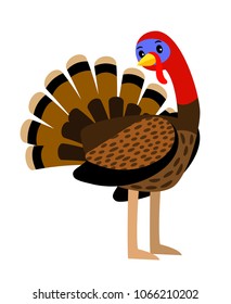 Turkey. Vector thanksgiving traditional turkey bird animal closeup illustration on white
