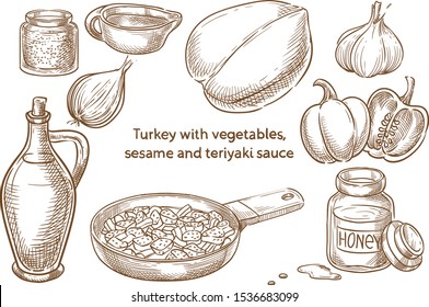 Turkey with vegetables, sesame seeds and teriyaki sauce. Japanese food. Ingredients. Vector sketch