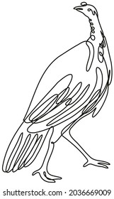 Turkey Viewed from Side Continuous Line Drawing 