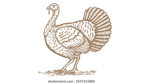 Turquía. Impresión retro de Antiguas, dibujo de pavo blanco negro, grabar estilo de la vieja escuela. Sketch obra de arte silueta de pavo sobre fondo blanco. Perfil de vista lateral. Ilustración vectorial