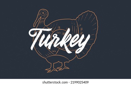 Turkey vintage sketch. Turkey silhouette with grunge texture. Vintage poster. Typography. Vector illustration.