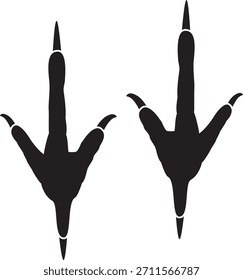The turkey vulture footprint vector.