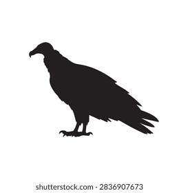 Turkey vulture silhouette vector flat illustration design.