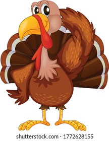 Turkey Wearing cartoon vector art and illustration