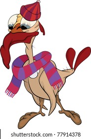 Turkey-cock in a cap and a scarf.  Cartoon