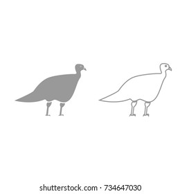 Turkeycock grey set icon .